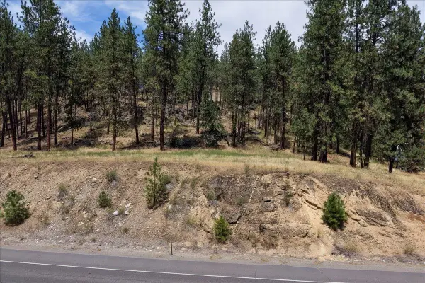 11XXX Nine Mile Rd, Nine Mile Falls, WA 99026
