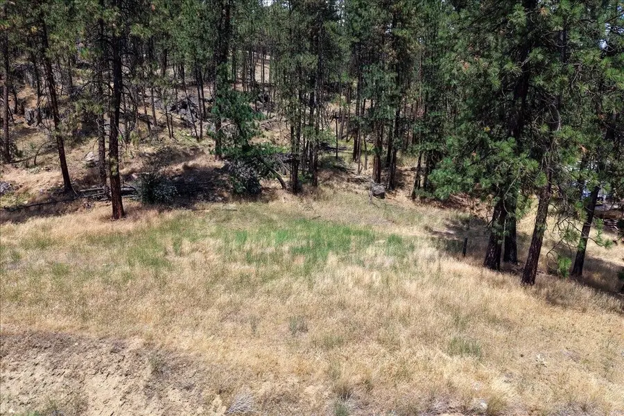 11XXX Nine Mile Rd, Nine Mile Falls, WA 99026 - #2
