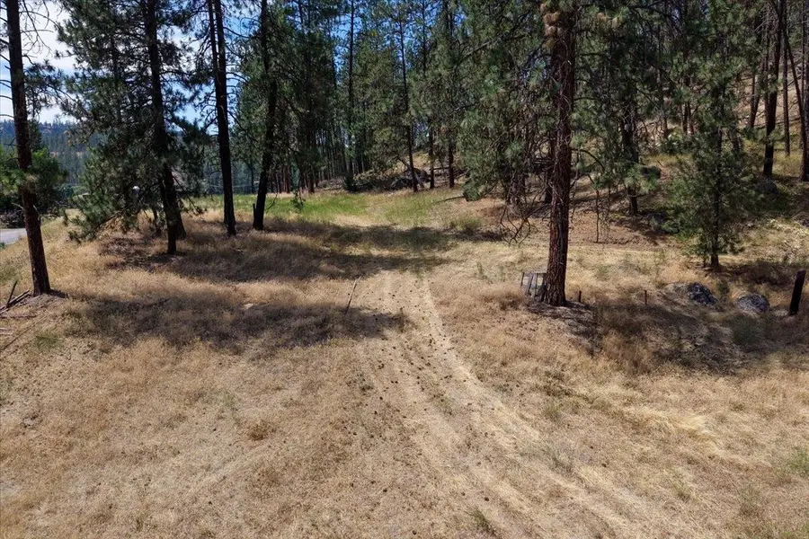 11XXX Nine Mile Rd, Nine Mile Falls, WA 99026 - #3