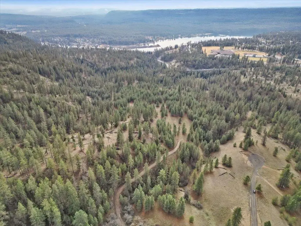 NKA Lower Weaver Way, Deer Park, WA 99006 - #1