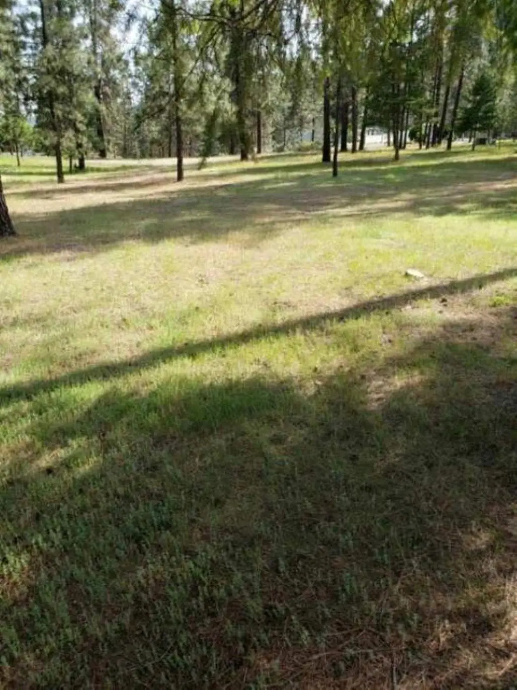 256 Eagle Dr, Chewelah, WA 99109 - #1