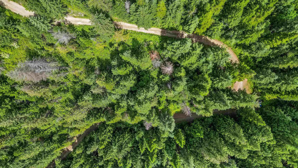 XXX N Deer Ln, Mead, WA 99021 - #1