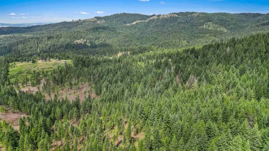 XXX N Deer Ln, Mead, WA 99021 - #3