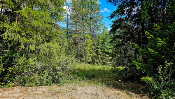 10 Humes Rd, Kettle Falls, WA 99141