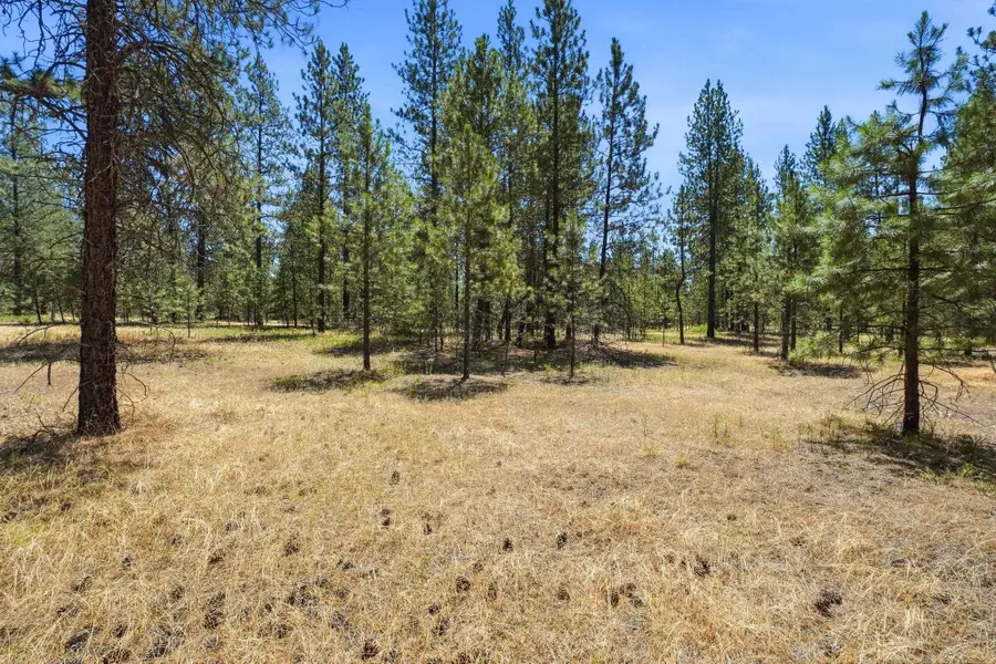 0 E Owens Rd, Chattaroy, WA 99003 - #3