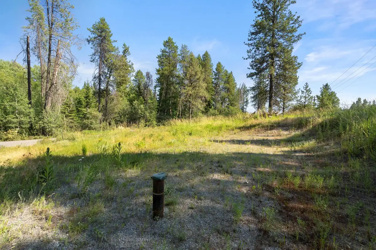 XXX N Madison Rd, Mead, WA 99021 - #1