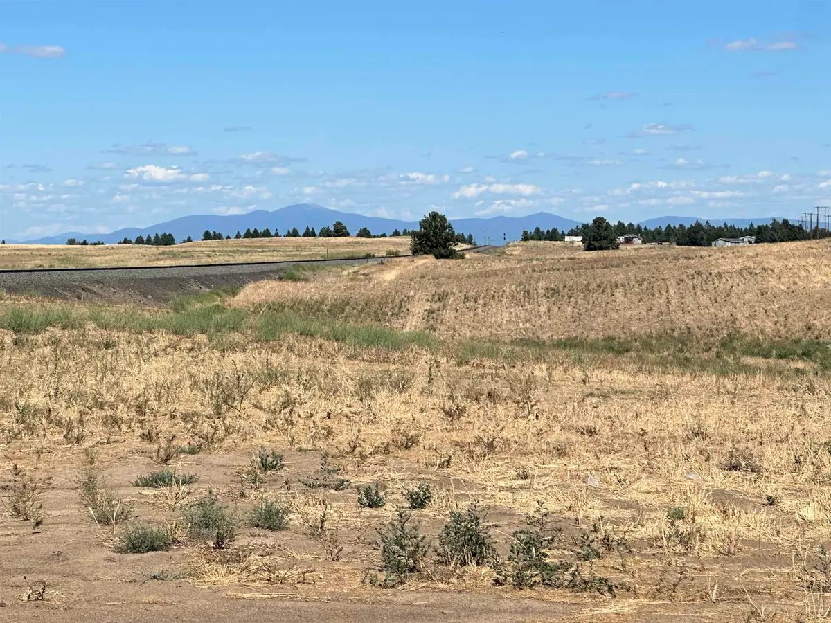 1114X S Rambo Rd, Medical Lake, WA 99022 - #1