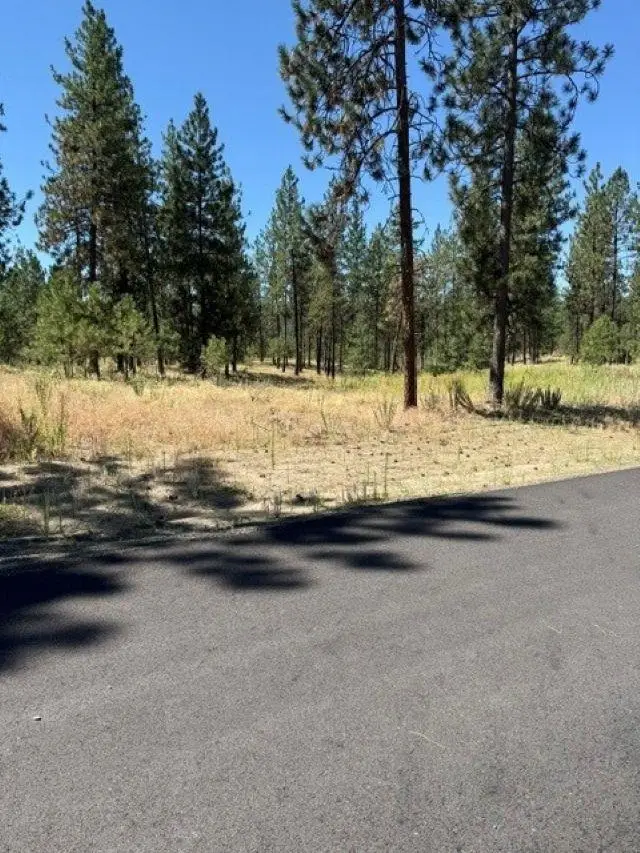 Lot 11 Long Lake Estates Est, Nine Mile Falls, WA 99026 - #1