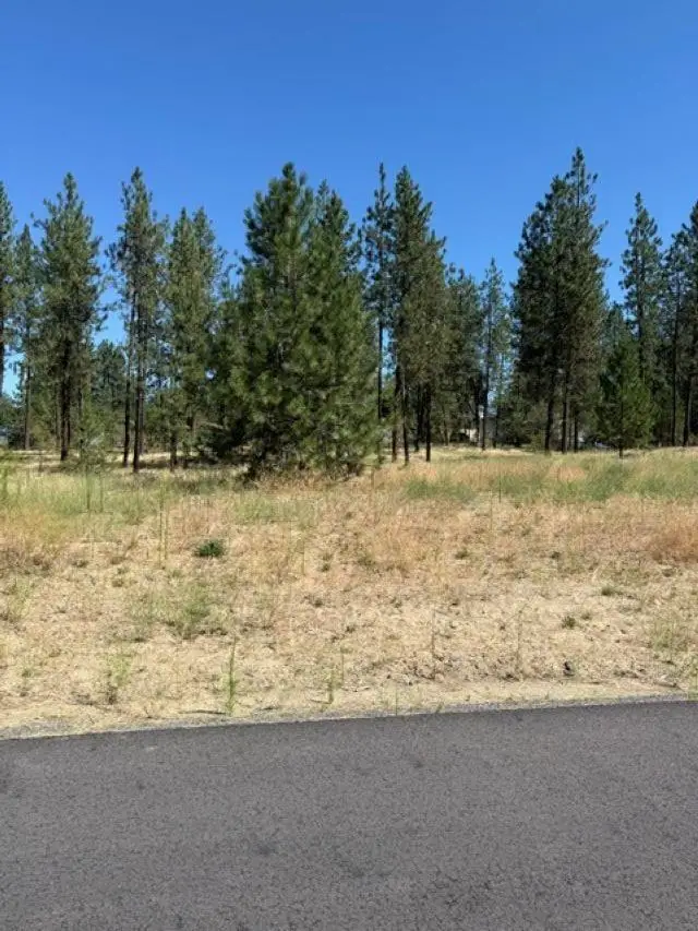Lot 15 Long Lake Estates Est, Nine Mile Falls, WA 99026 - #1