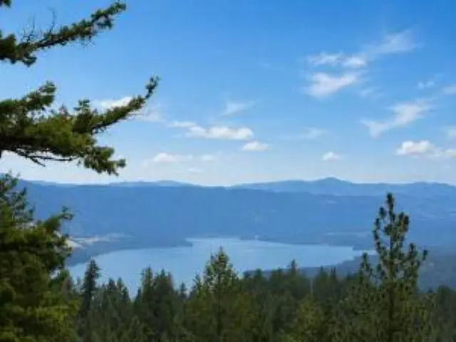4XX #L Morning Star Ln, Inchelium, WA 99138 - #2