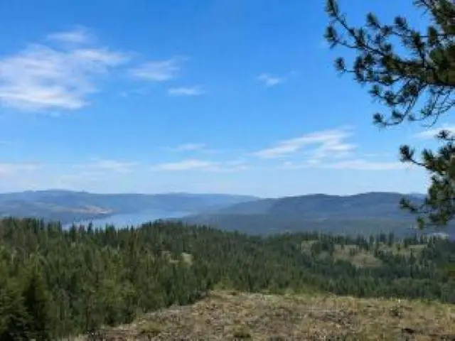 4XX #L Morning Star Ln, Inchelium, WA 99138 - #3