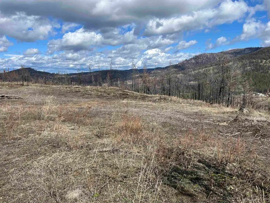 Lot 8 Rail Canyon Rd, Springdale, WA 99173 - #1