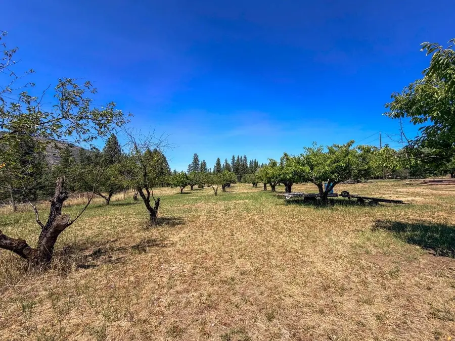 1250 Peachcrest Rd, Kettle Falls, WA 99141 - #3