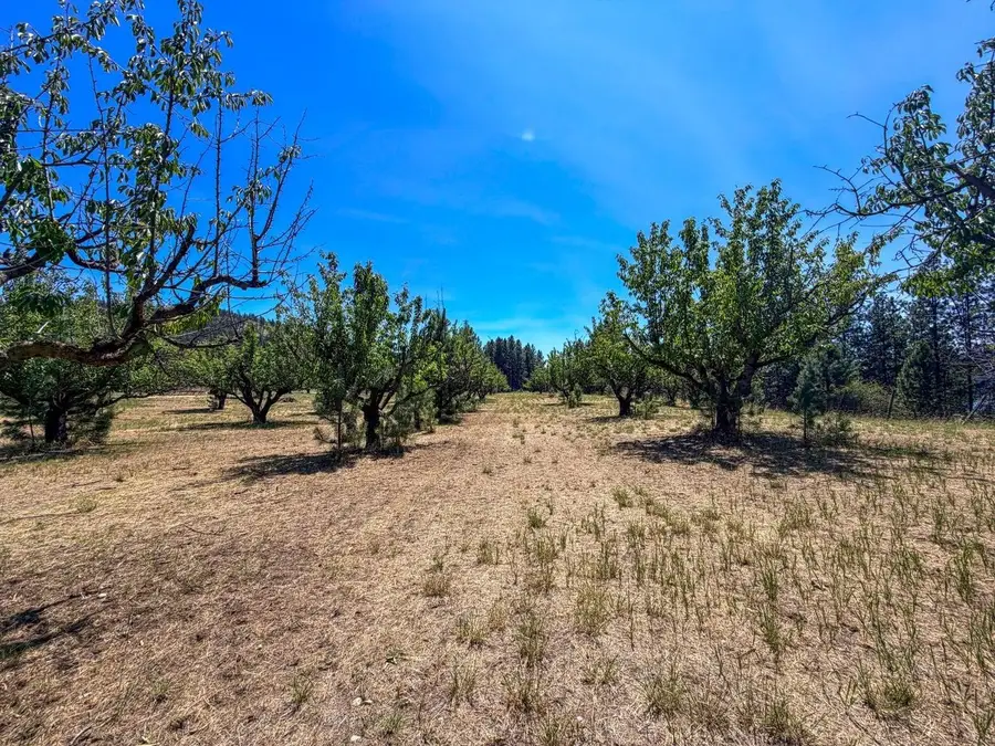 1240 Peachcrest Rd, Kettle Falls, WA 99141 - #3