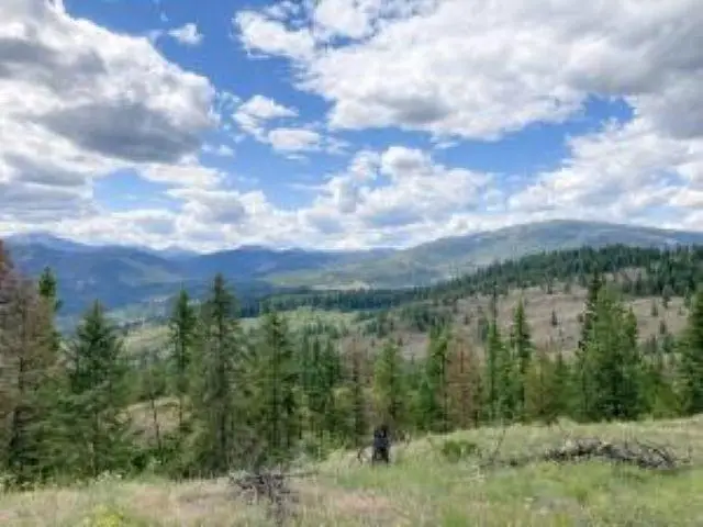 4xx R Vista View Ln, Colville Reservation, WA 99138-9941 - #2
