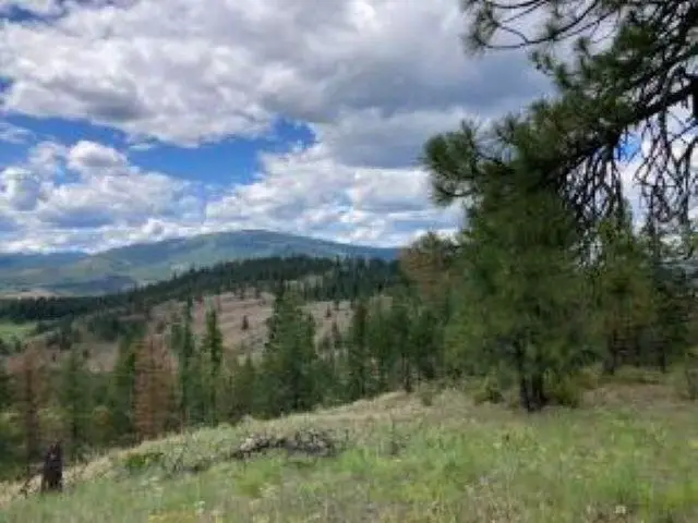4xx R Vista View Ln, Colville Reservation, WA 99138-9941 - #3