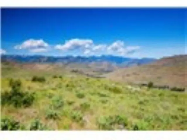 xxx Sawtooth View Rd, Methow, WA 98834 - #1