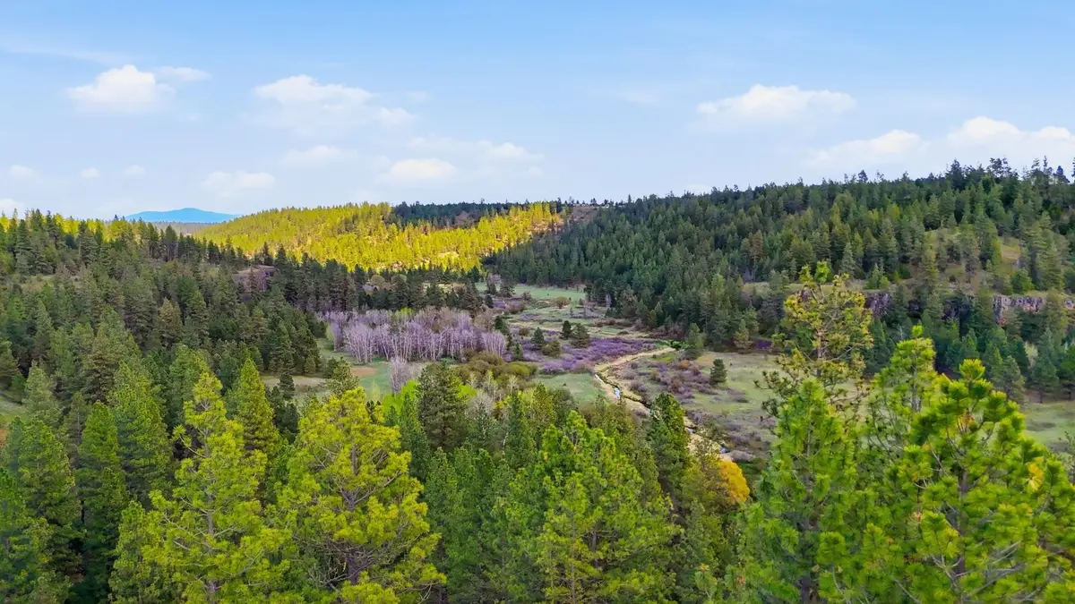 00 N Chris Ln, Medical Lake, WA 99022 - #1