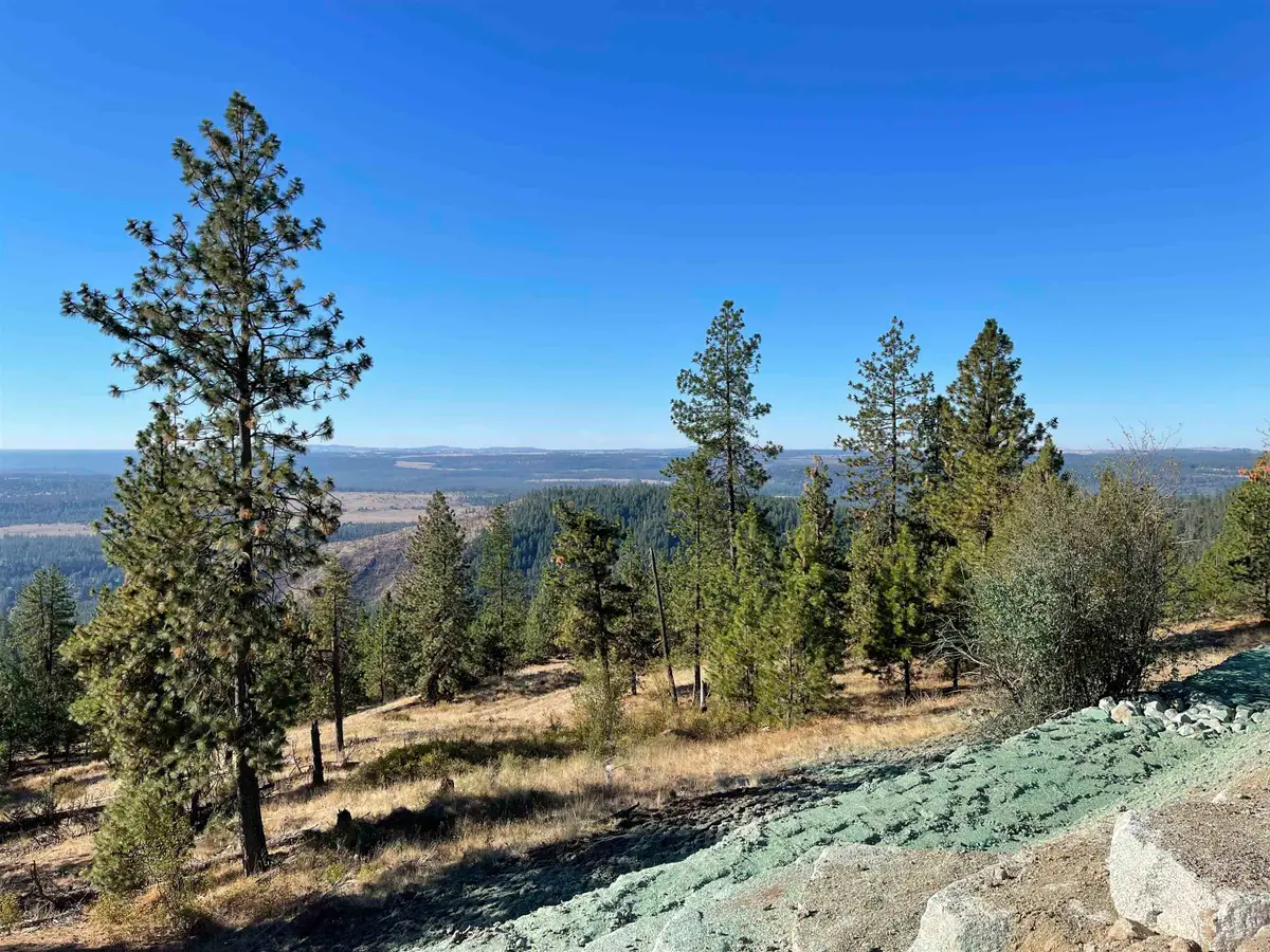 16221 N Soren Ln, Spokane, WA 99208 - #1