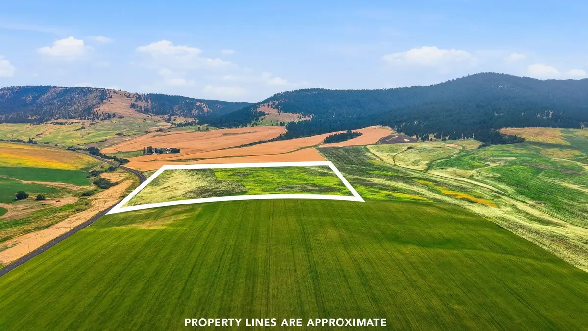 39.5 Acre Lot, Wheeler Rd, Latah, WA 99018 - #1
