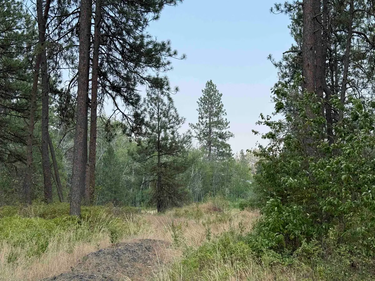 5.11 AC W Malloy Prairie Rd, Cheney, WA 99004 - #1