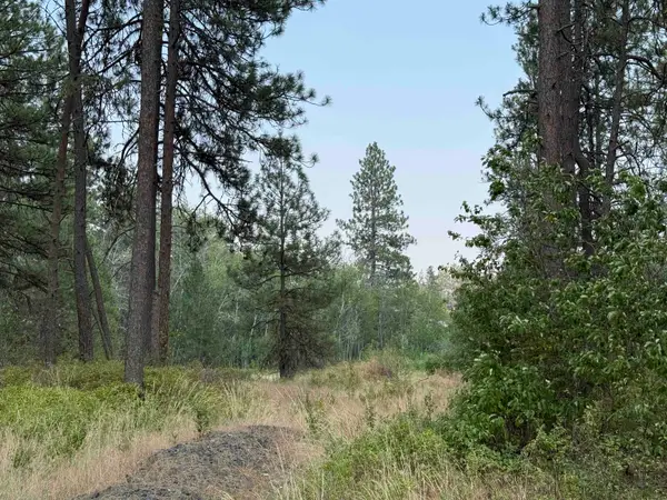 5.11 AC W Malloy Prairie Rd, Cheney, WA 99004