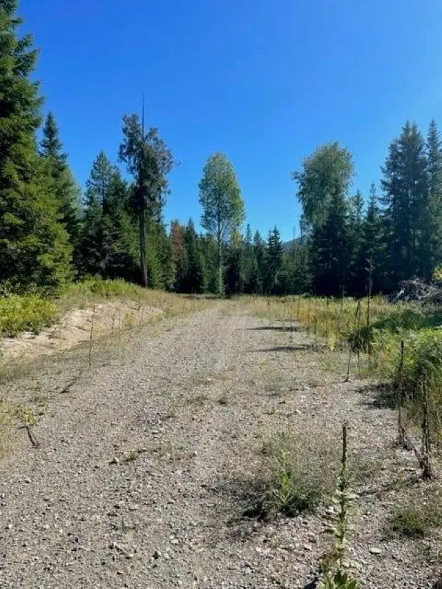 3XX Lot 10 N Leclerc Rd, Ione, WA 99139 - #2