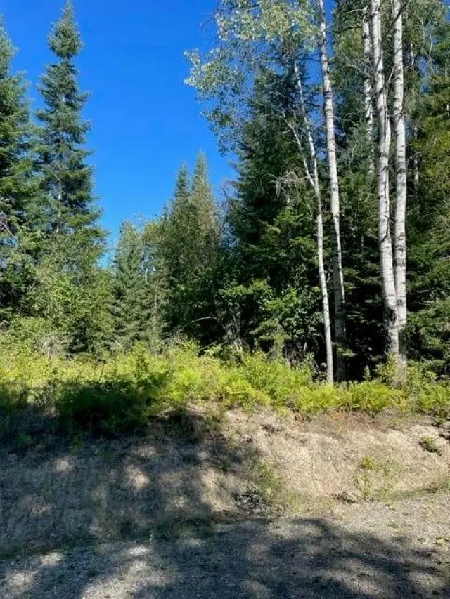 3XX Lot 12 N Leclerc Rd, Ione, WA 99139 - #3