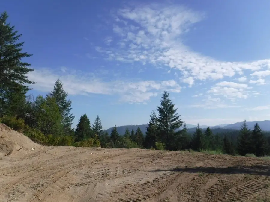 Lot 1 SW Moose Ridge Way, Loon Lake, WA 99148 - #3