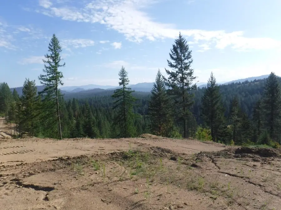 Lot 2 Moose Ridge Way, Loon Lake, WA 99148 - #2