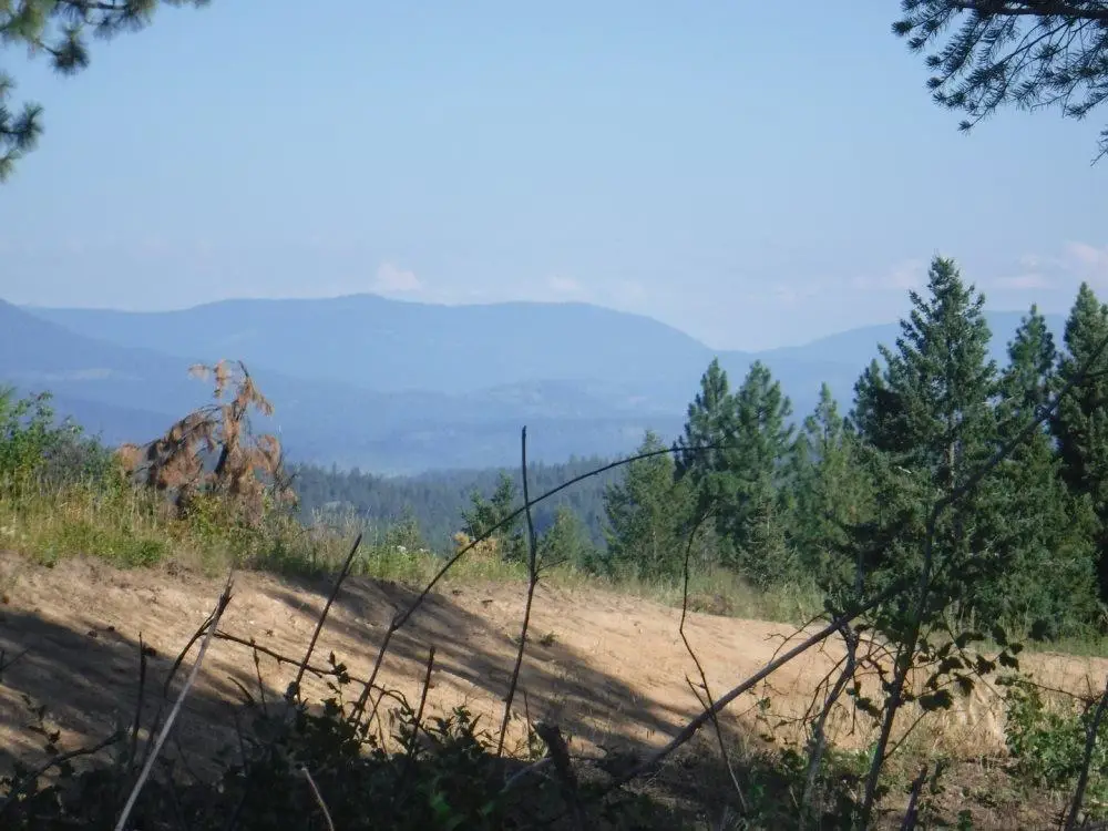 Lot 3 Moose Ridge Way, Loon Lake, WA 99148 - #1