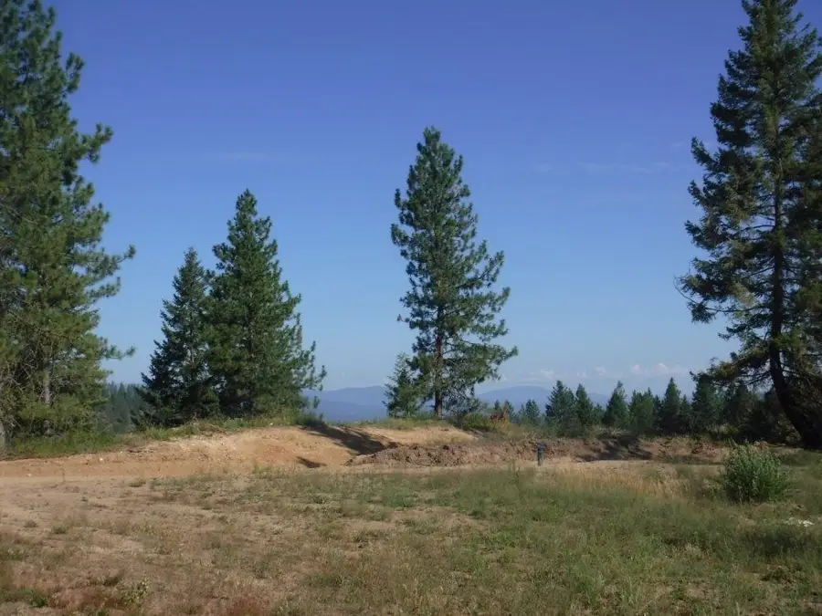 Lot 3 Moose Ridge Way, Loon Lake, WA 99148 - #2