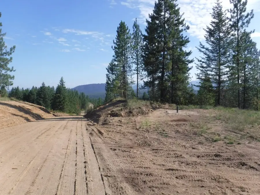 Lot 4 Moose Ridge Way, Loon Lake, WA 99148 - #2
