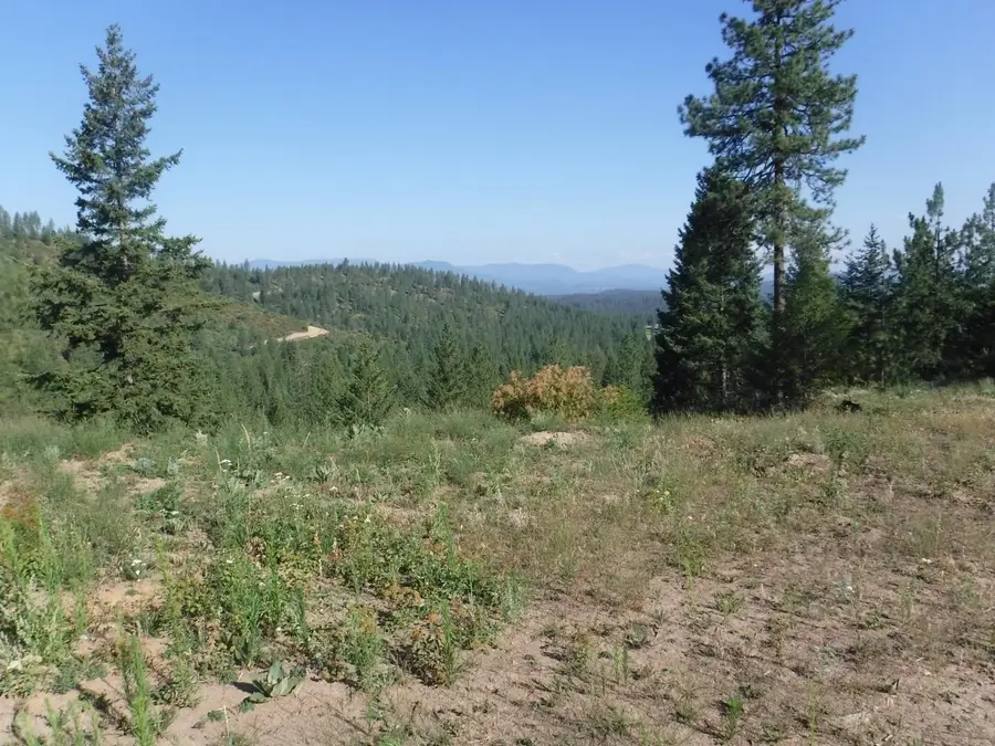 Lot 5 Moose Ridge Way, Loon Lake, WA 99148 - #2