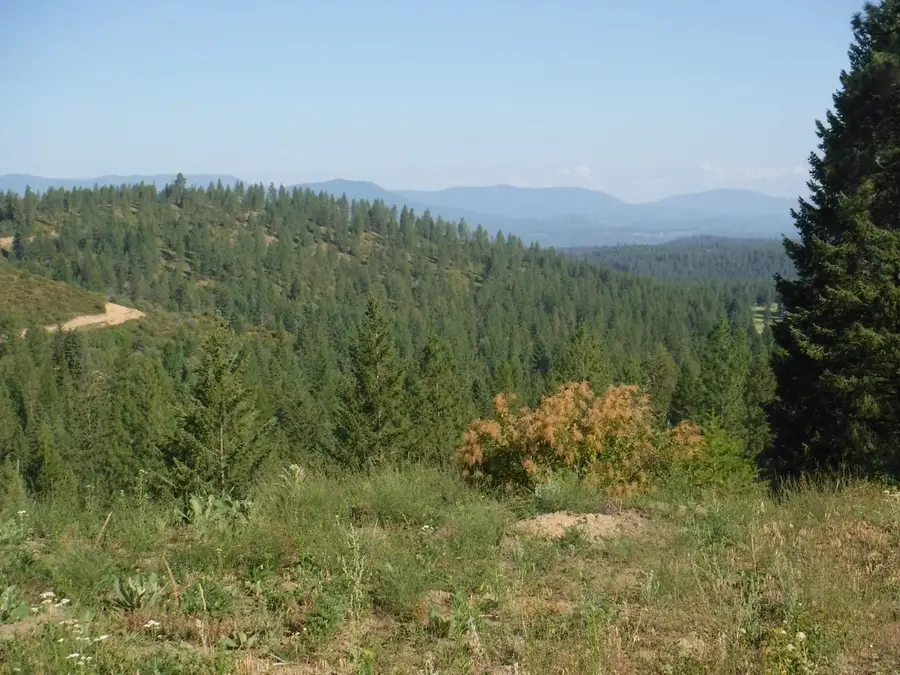 Lot 5 Moose Ridge Way, Loon Lake, WA 99148 - #3
