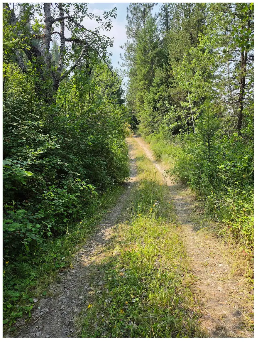 NNA Hwy 20 & Mc Cloud Creek Rd, Newport, WA 99156 - #2
