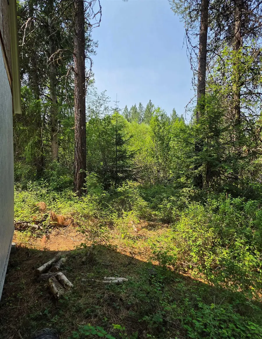 NNA Hwy 20 & Mc Cloud Creek Rd, Newport, WA 99156 - #3