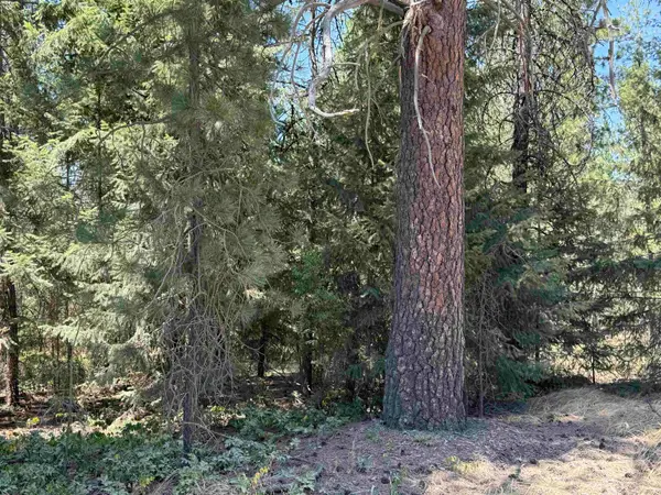NKN N Regal Rd, Chattaroy, WA 99003