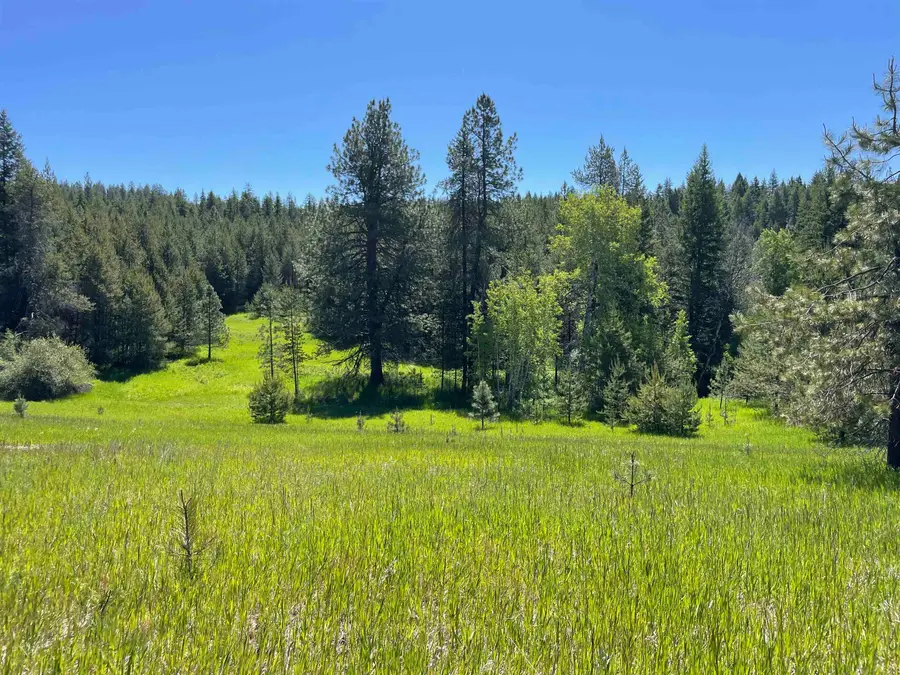 4435 Whittier (lot 2) Rd, Clayton, WA 99110 - #2