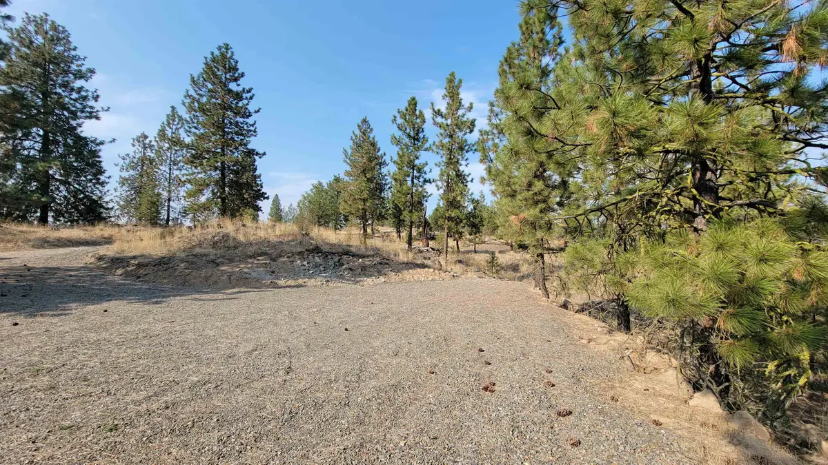 5300 Moose Tracks Way, Fruitland, WA 99129-1234 - #1