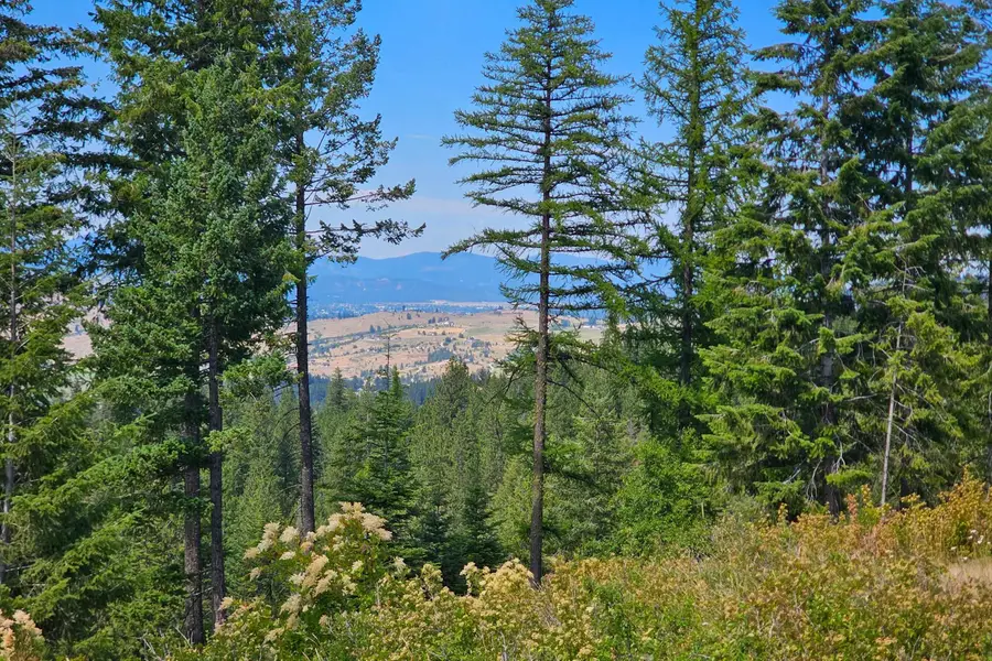 NKA E Belmont Rd, Mica, WA 99023 - #3