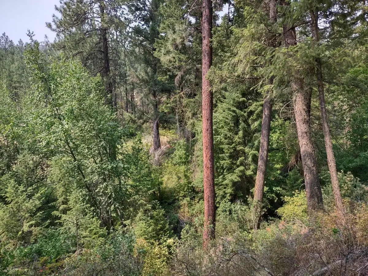 7600 Bernhill Rd, Spokane, WA 99208 - #1