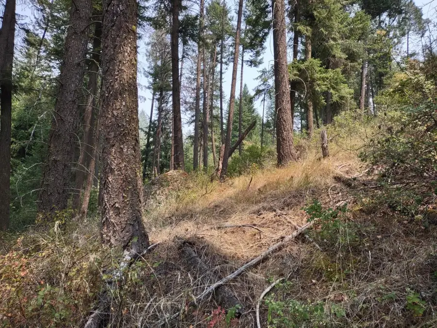 7600 Bernhill Rd, Spokane, WA 99208 - #2