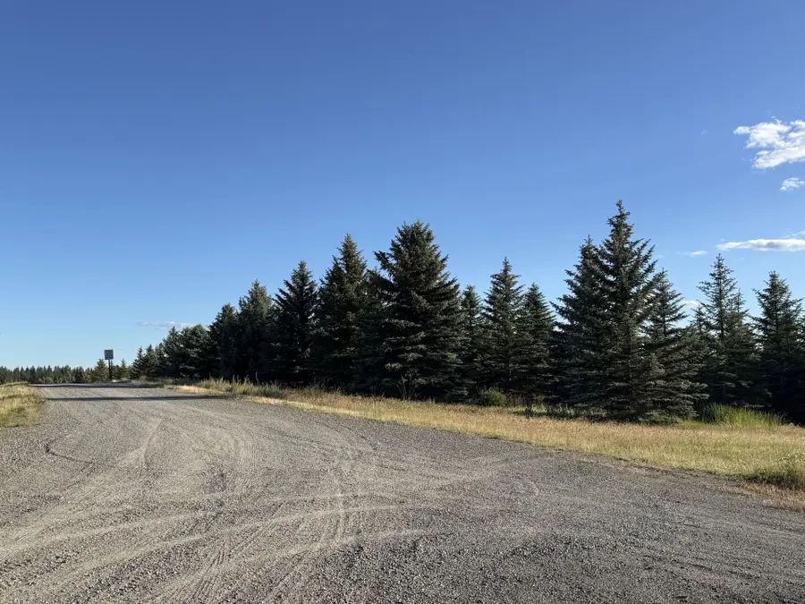 111XX S Spruce Tree Ln, Mica, WA 99023 - #2