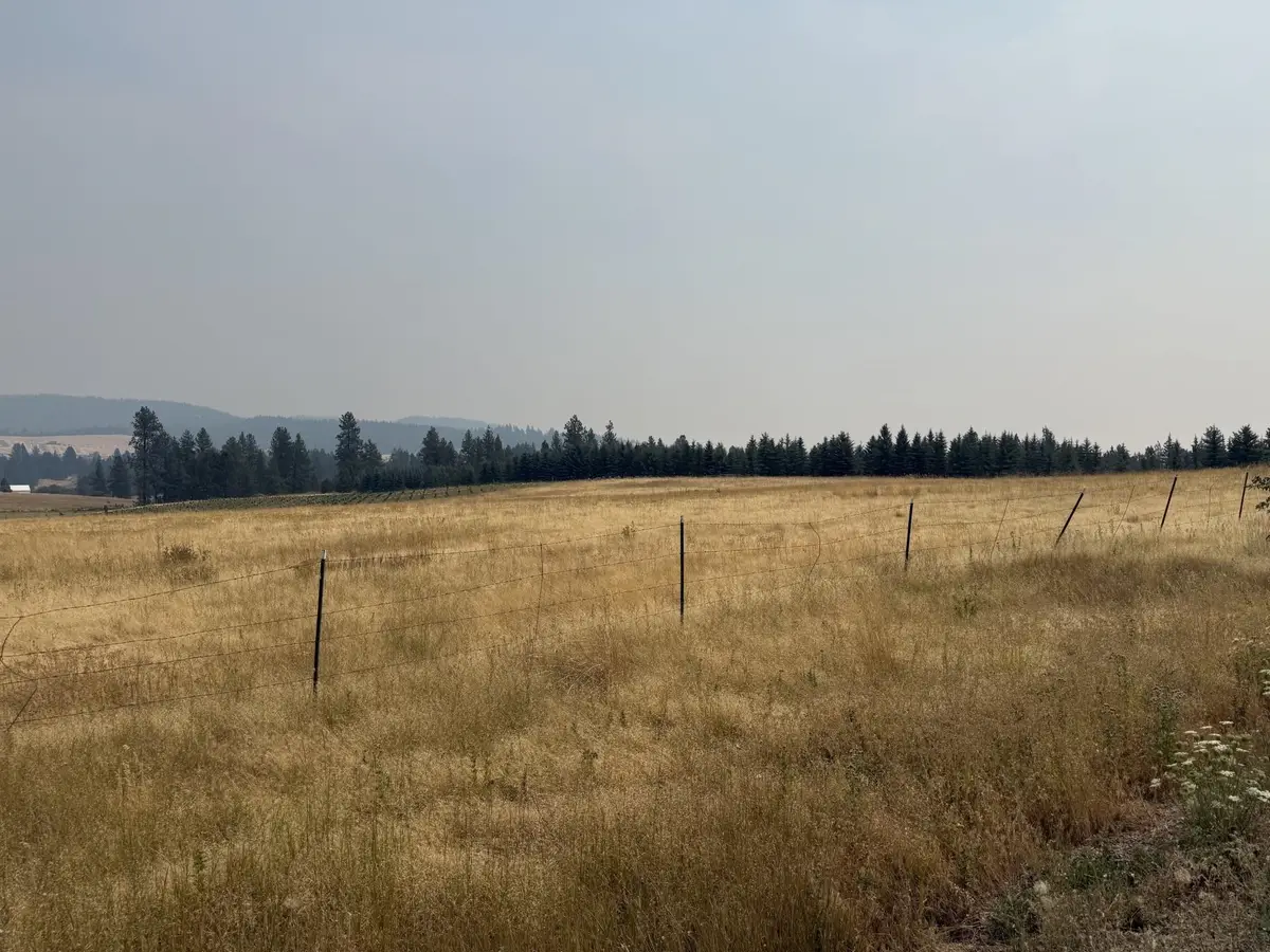 111XX S Spruce Tree Ln, Mica, WA 99023 - #1