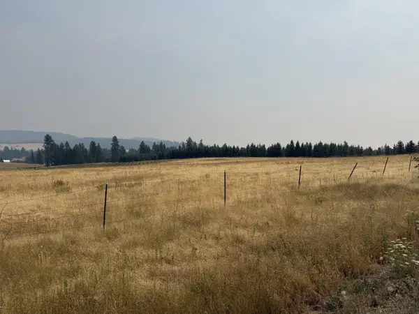 111XX S Spruce Tree Ln, Mica, WA 99023