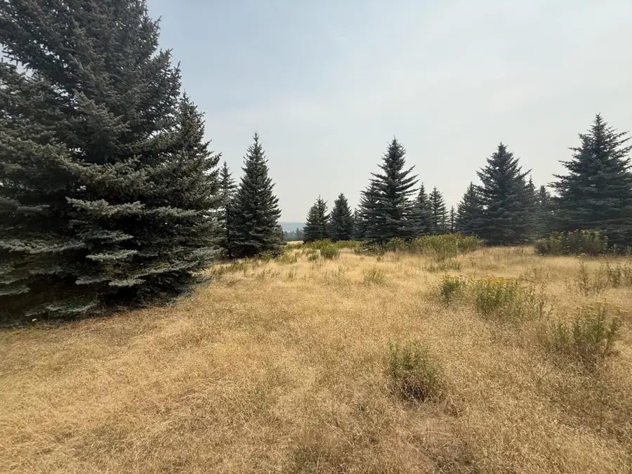 111XX S Spruce Tree Ln, Mica, WA 99023 - #2