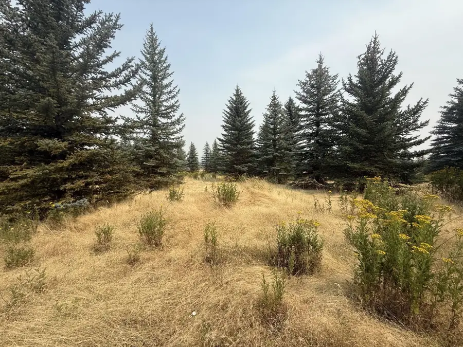 111XX S Spruce Tree Ln, Mica, WA 99023 - #3