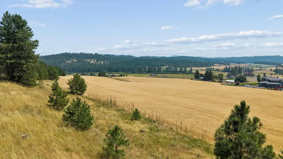 104XX E Mt Spokane Park Dr, Mead, WA 99021 - #3