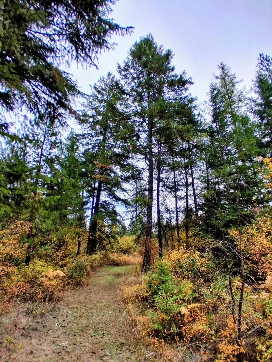 706 Mccammon Rd, Elk, WA 99009 - #2